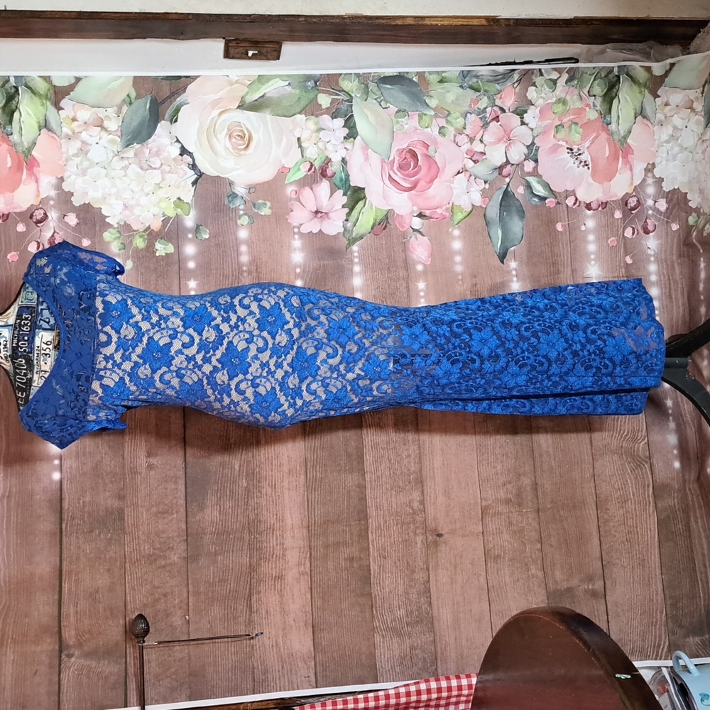 Blue lace dress Floral lace see through dress with nude lining